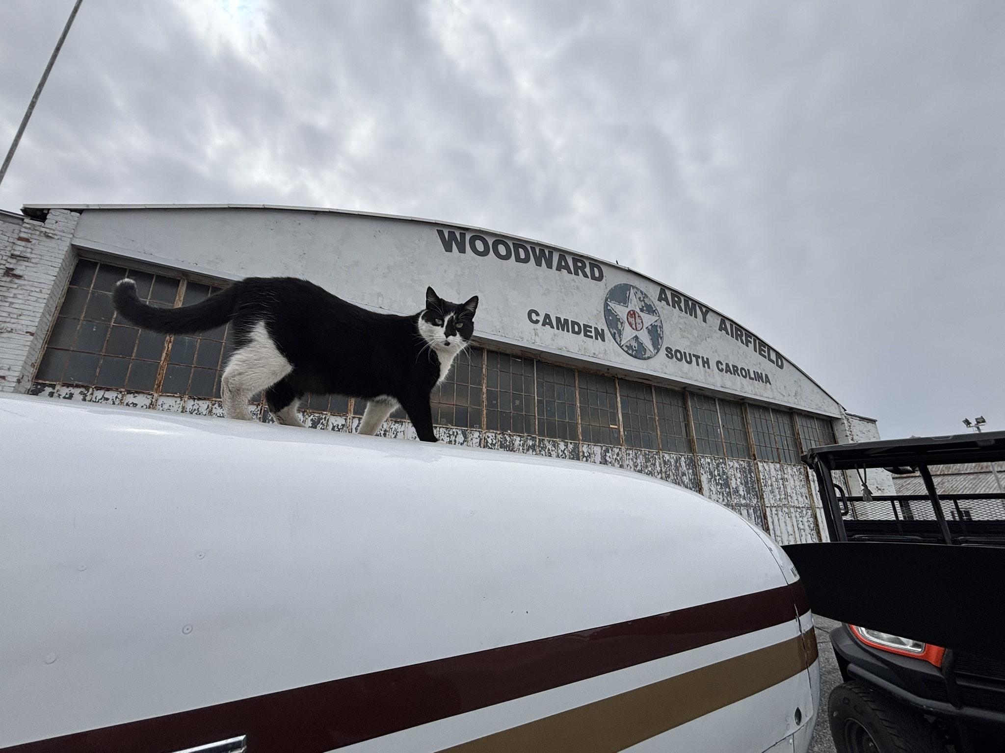 Community contribution