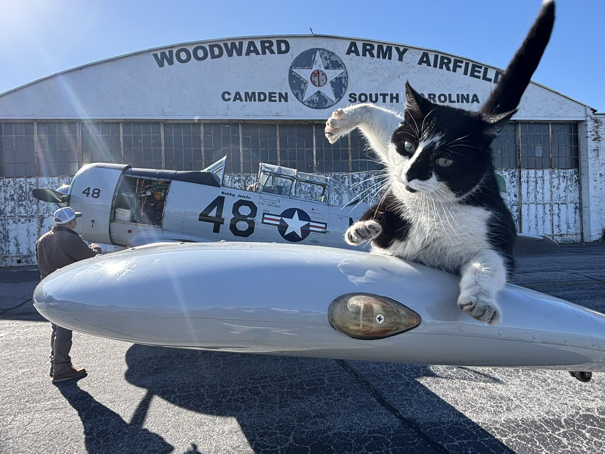 Community contribution